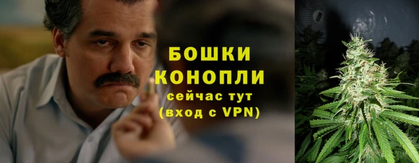 apvp Горно-Алтайск