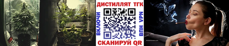 Купить  Благовещенск  ТГК жижа 