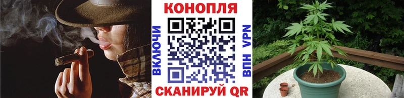 Бошки Шишки семена  Купить  Благовещенск 